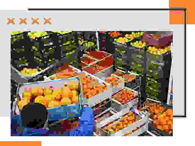 Перевозка скоропортящихся продуктов в Новом Уренгое